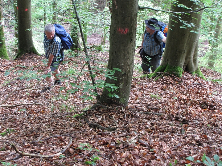 Wanderung 2013_102.jpg